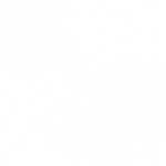 icon-customise-04-280x280