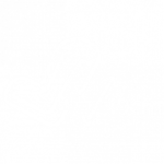 icon-customise-08-280x280